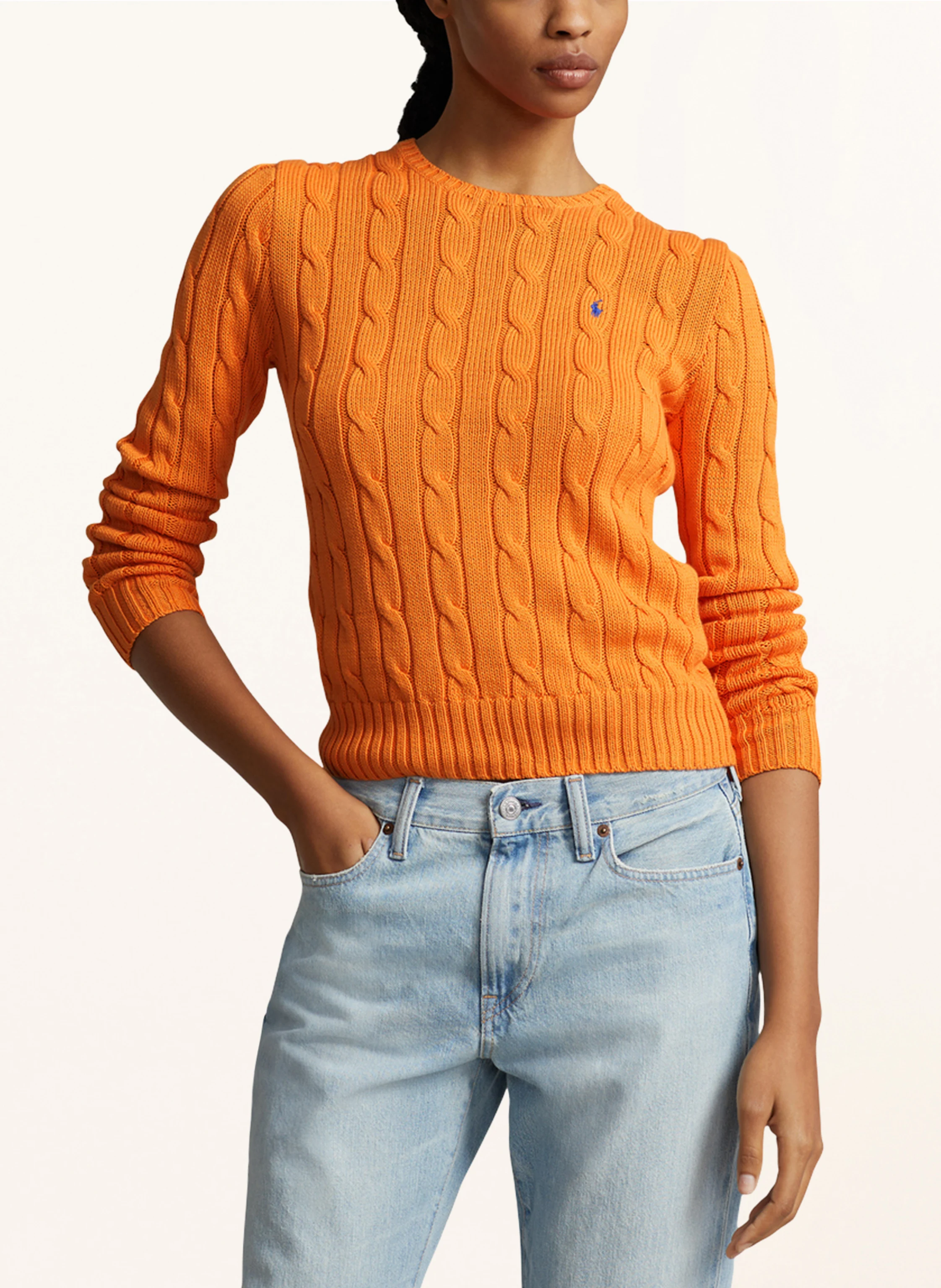 POLO RALPH LAUREN Pullover