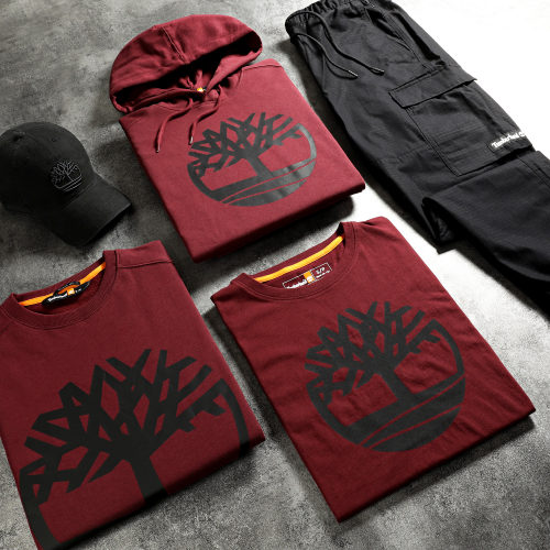 Sweat Capuche Core Logo A2BJH Bordeaux