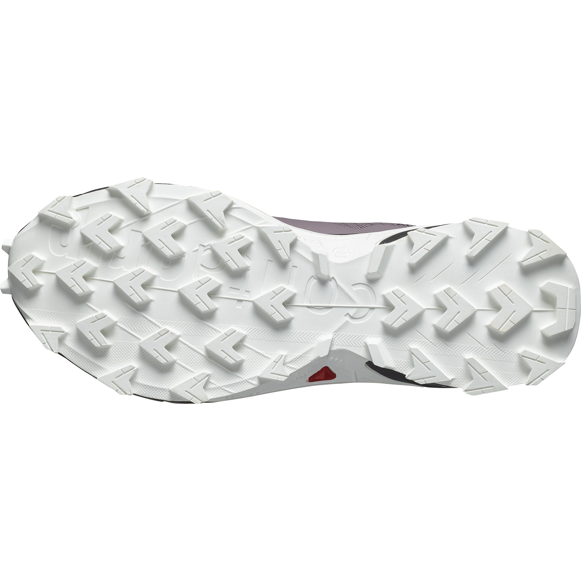 Salomon Trailrunningschuh »ALPHACROSS 5 W GORE-TEX«  wasserdicht