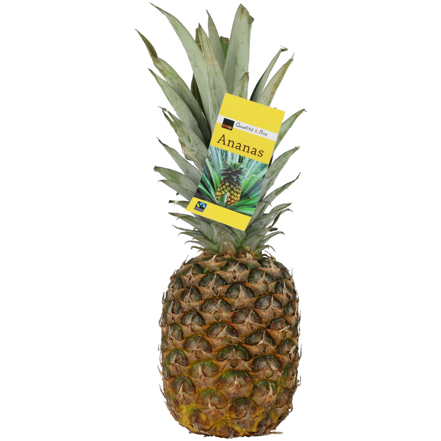 Fairtrade Ananas extrasüss 1 Stück -