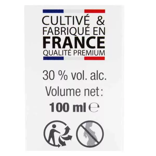 Synergia SIPF Equinácea Orgânica 100ml
