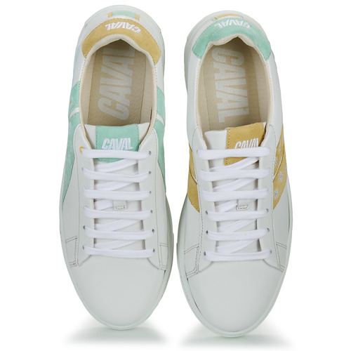 Caval - SLASH - Blanc / Bleu