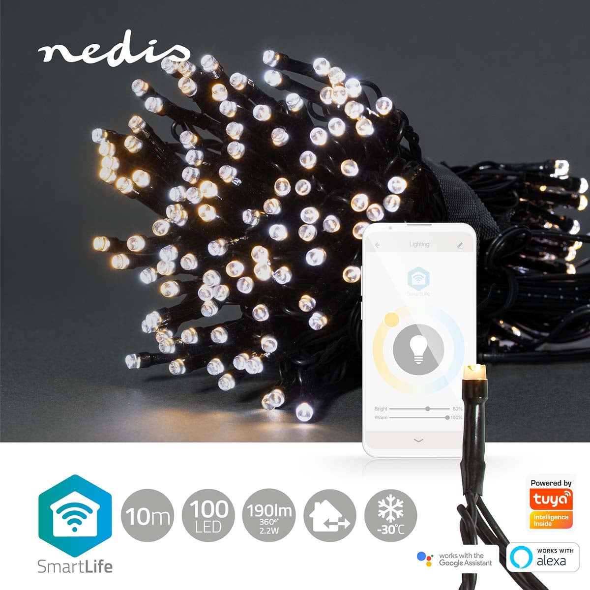 Nedis SmartLife Decoratieve LED lichtslang iOS/Android 10 meter | 100 LED's