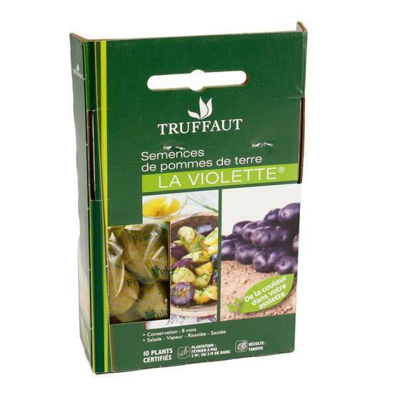 Plants de pommes de terre 'La Violette' en filet x10
