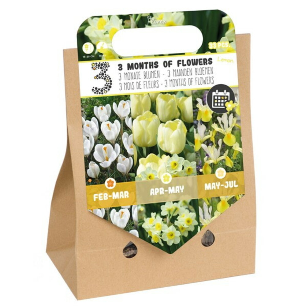 Pick-Up Tas Bloembollen 3 Months of Flowers Lemon33 stuks