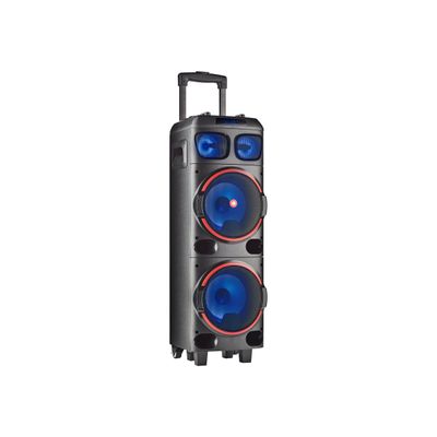 NGS WILD DUB 1 - enceinte de soirée - sans fil - avec batterie intégrée - noir