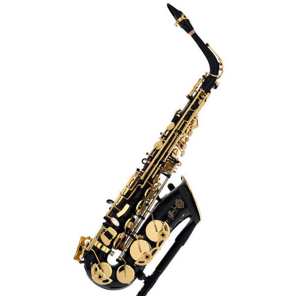 Selmer SE-A2B Black