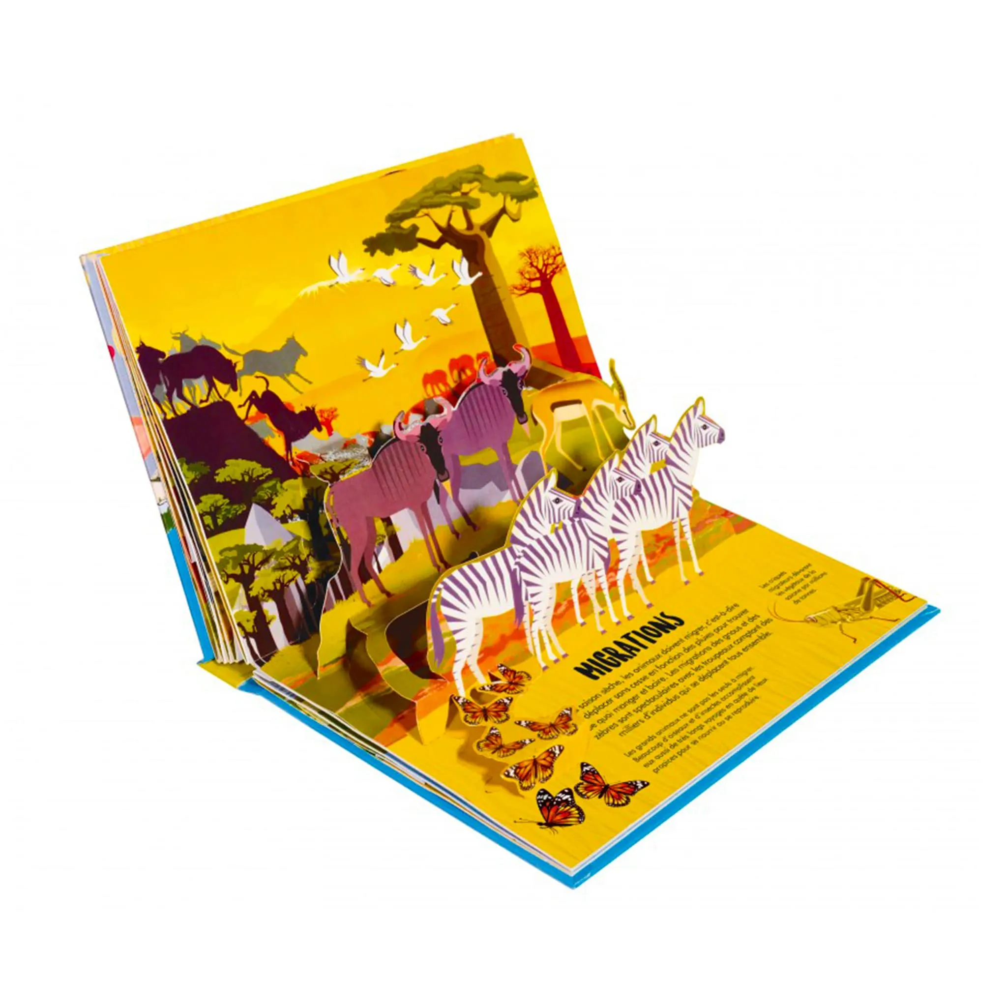 Prologue Savane - La nature en pop-up!