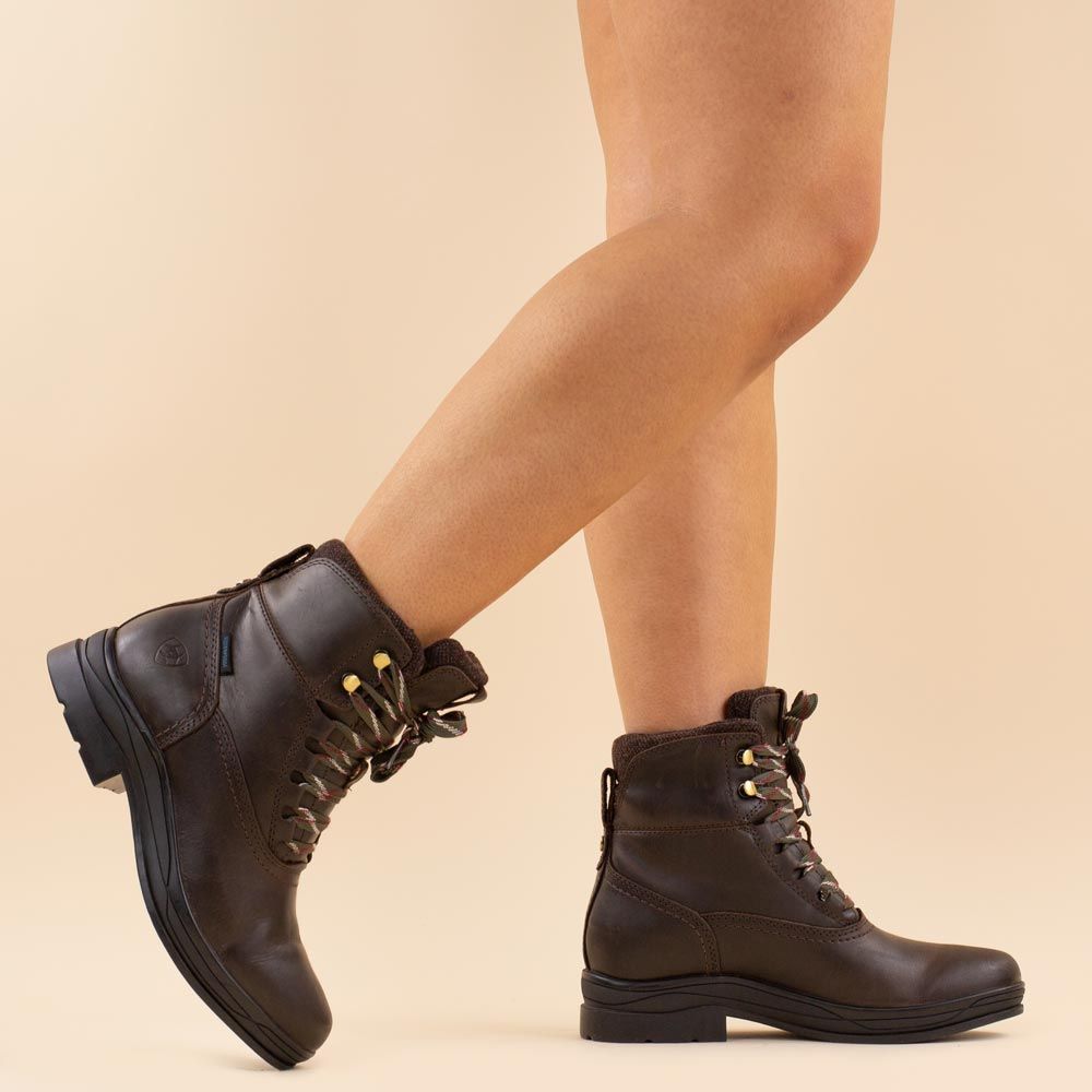Ariat boots Harper donkerbruin waterproof