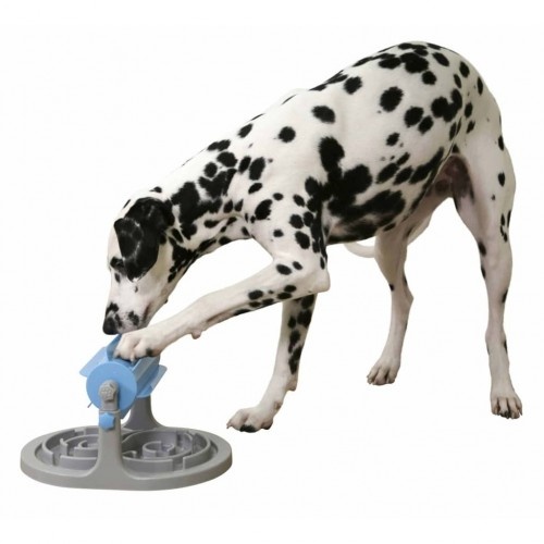 Alimentador interativo para cães, azul