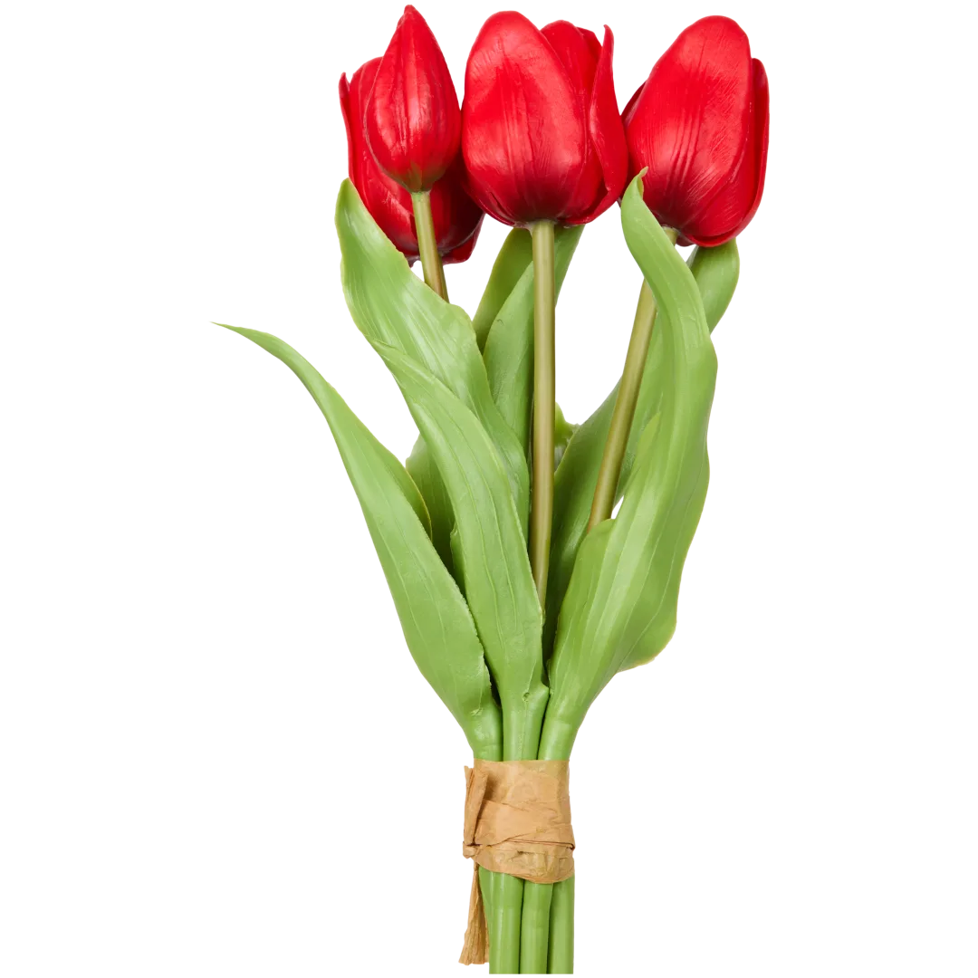 Kunsttulpen Diverse varianten