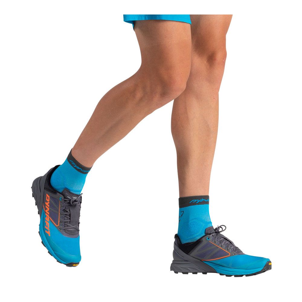 Dynafit ALPINE - Chaussures trail Homme magnet/frost