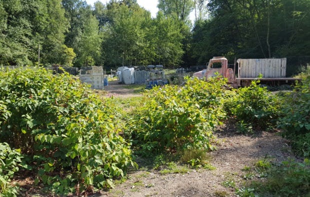 Paintball Ennepetal