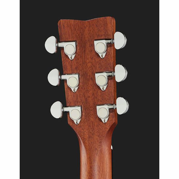 Yamaha FG800 BS