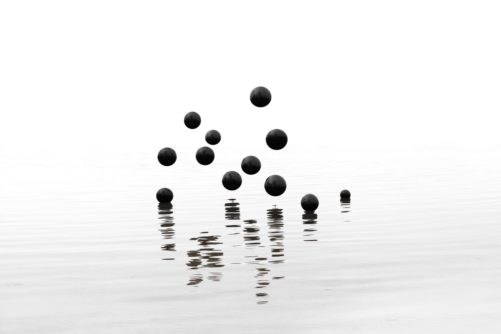 Foto op plexiglas Volgermeerpolder 120 x 80 cm