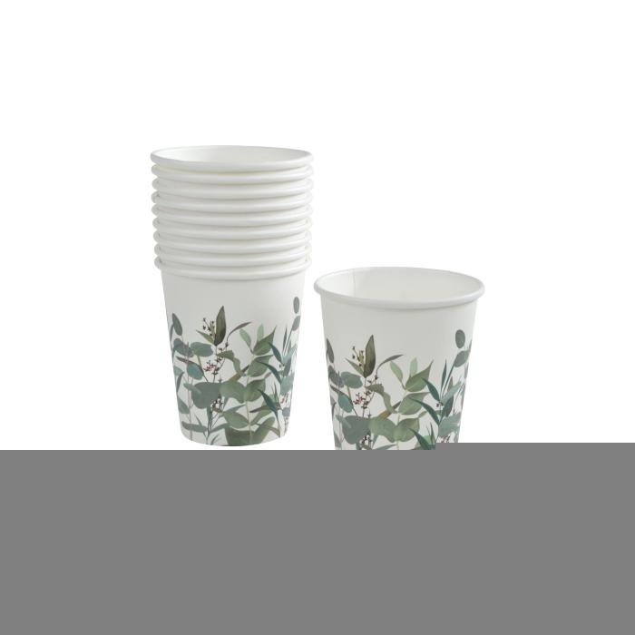 SET 10 GOBELETS CARTON 23CL EUCALYPTUS