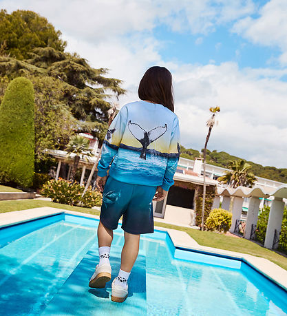 Molo Sweatshirt - Mixi - Whale Jump