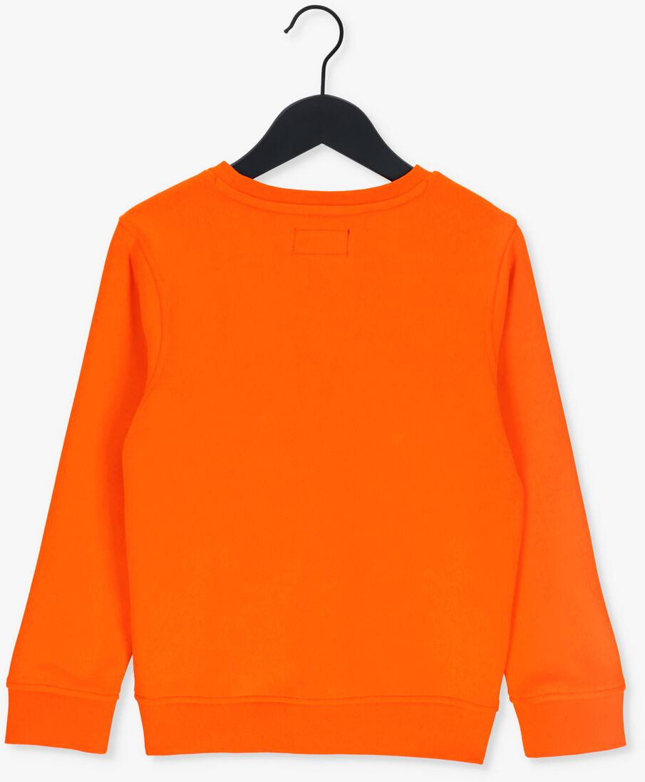 RAIZZED oranje raizzed trui macon