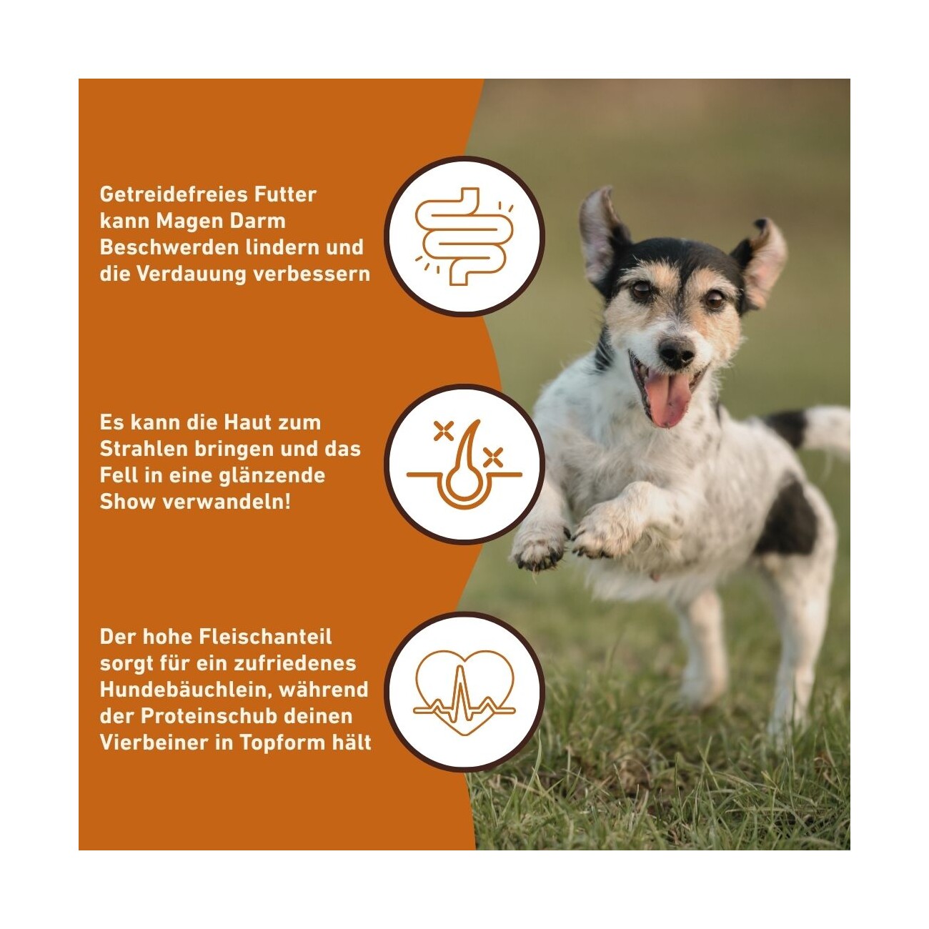Wildfang Genussbox Adult - Trocken- & Nassfutter Pferd Ente