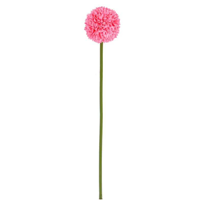 Tige de tête d'ail
