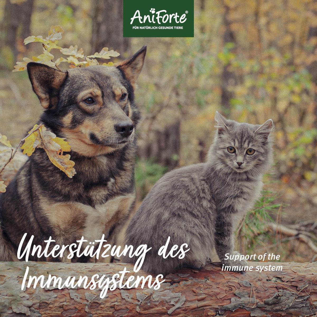 AniForte Bio Kokosöl