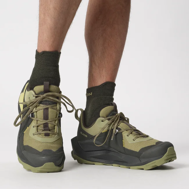 ELIXIR GORE-TEX  Hiking-Halbschuhe Herren