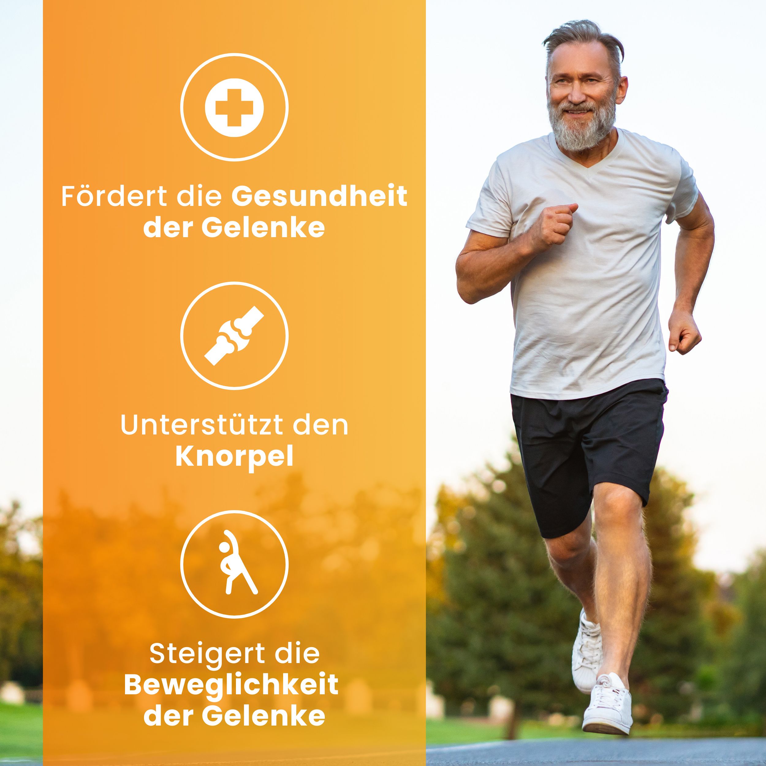 Vitastrong Glucosamin Komplex