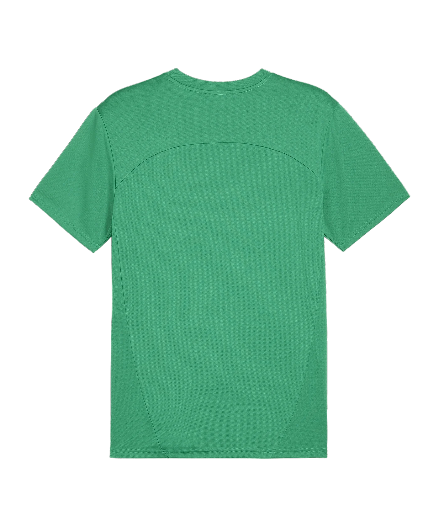PUMA teamFINAL Trikot Grün F05