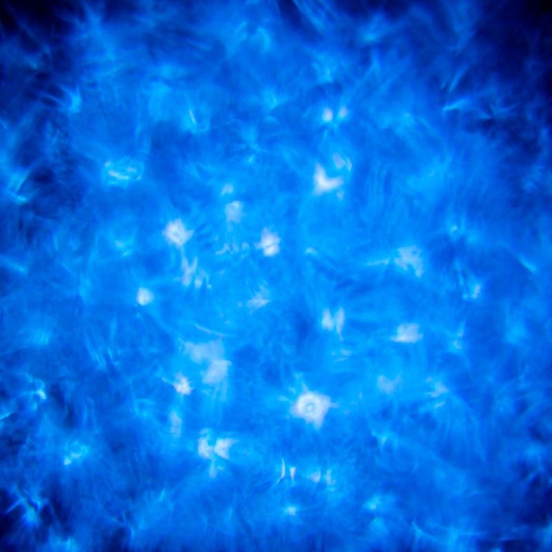 ADJ H2O Two LED water-lichteffect