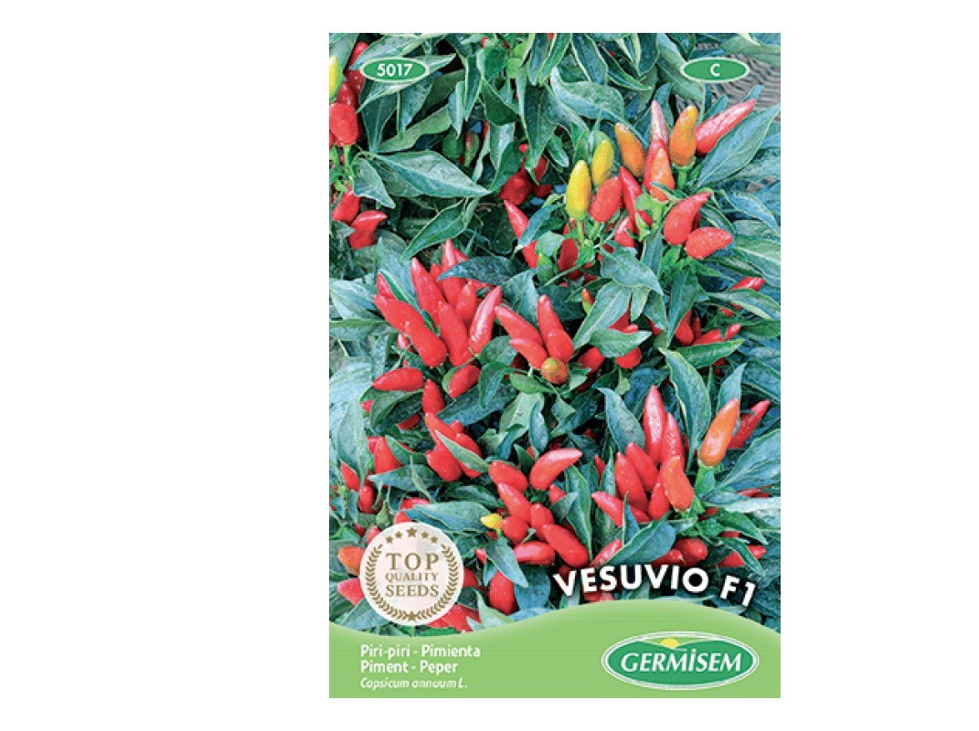 SEMENTES SOMELITE PIRI-PIRI VESUVIO