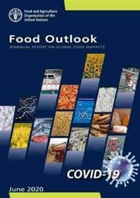 Food outlook