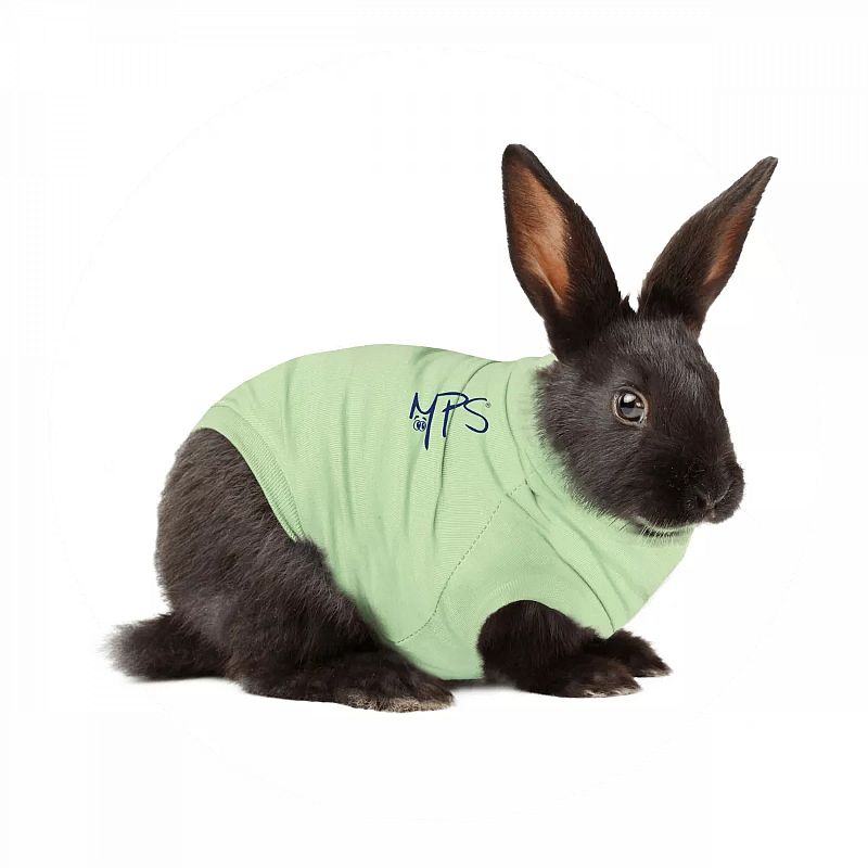 Medical Pet Shirt Konijn Maat XXXS