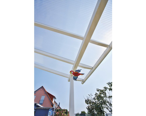 Gutta Acryl Holle Kamerplaat/Dubbelwandige Plaat 32-16 Helder 3500 mm x 980 mm x 16 mm