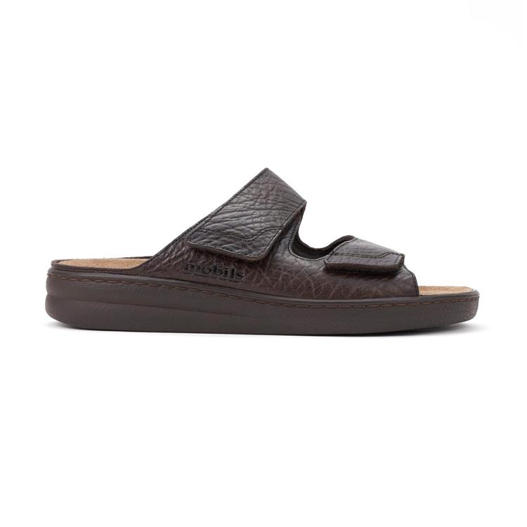 Mephisto James Bruin