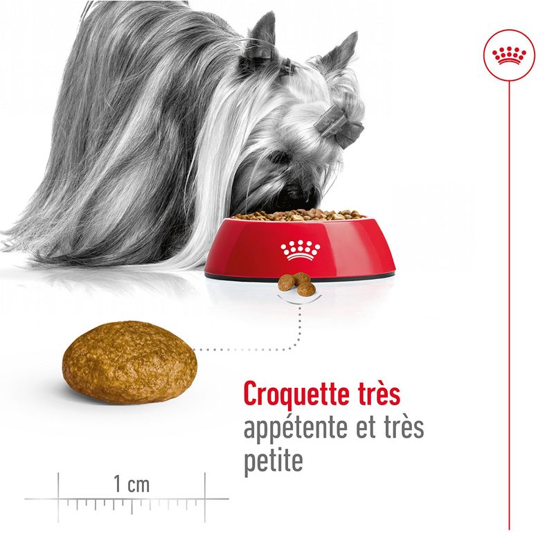 Royal Canin X-Small Adult à prix discount sur bitiba.fr