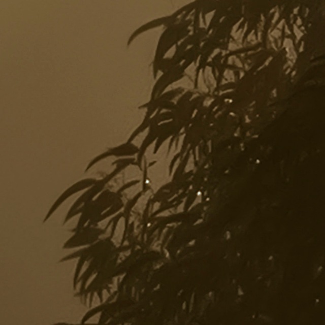 Komar Fototapete »Digitaldruck Vlies -  Foggy Sunshine - Grösse 400 x 250 cm« bedruckt glatt Wohnzimmer, Schlafzimmer