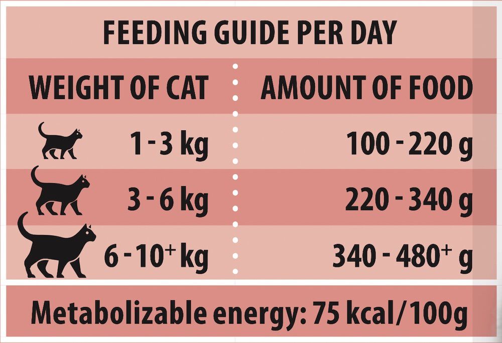 Rokus Adult - Kattenvoer - 415 Gram - zalm