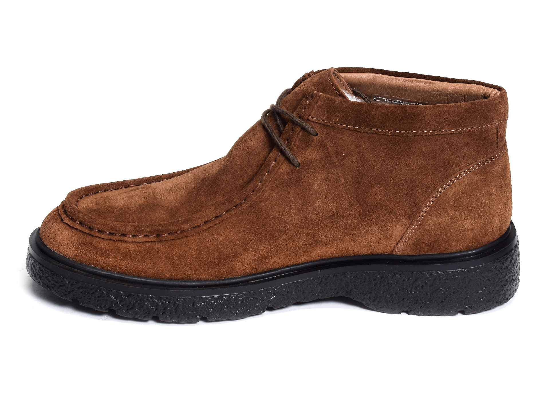Evrard camel