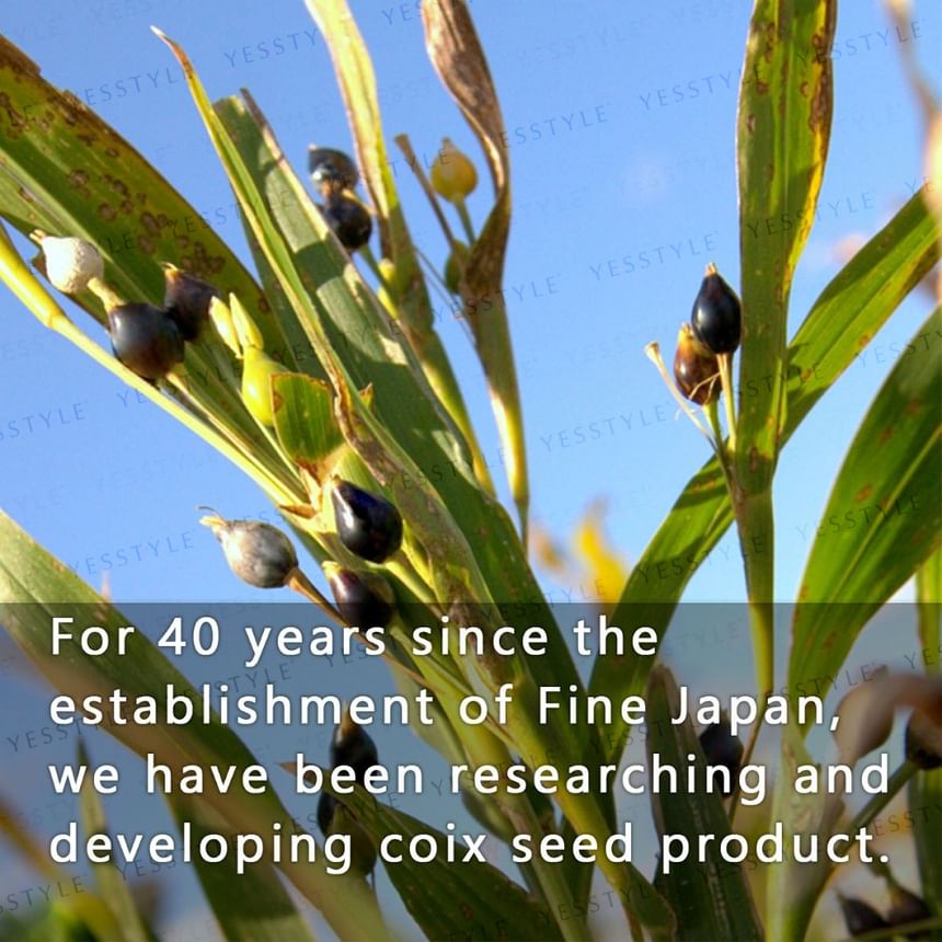 FINE JAPAN - Fine Superfood Ecology Coix Zadenpoeder
