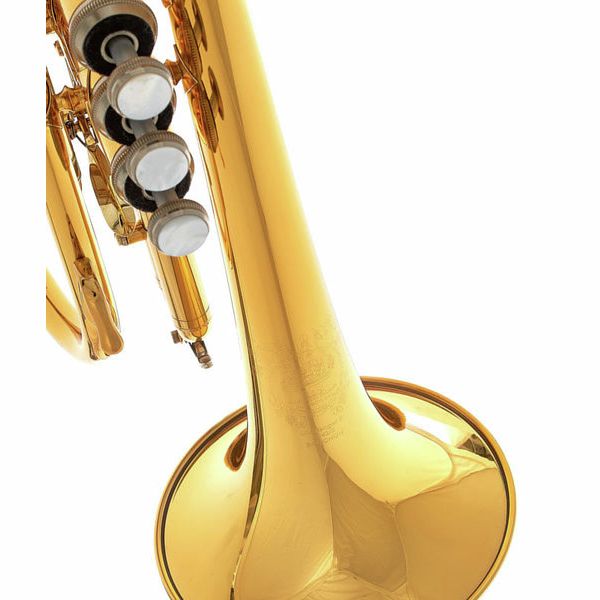 B&S 3142/2-GL Brochon Bb-Cornet