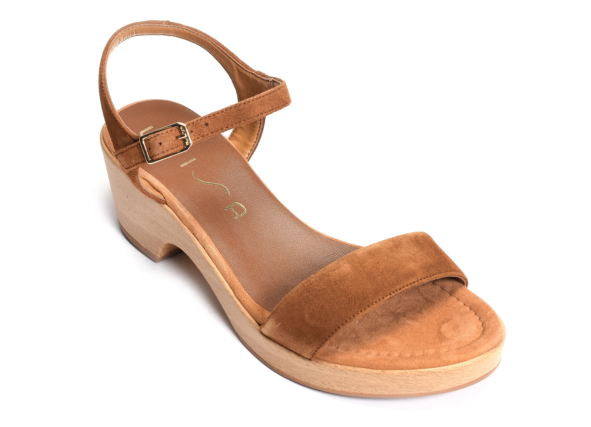 Irita camel