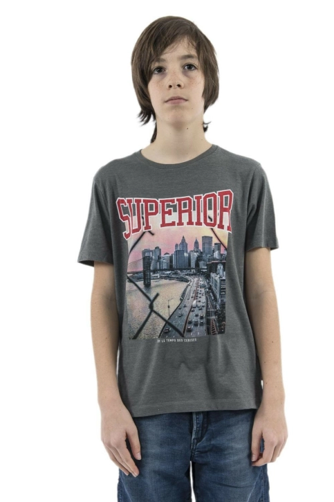 tee shirts manches courtes Le Temps Des Cerises vandabo gris