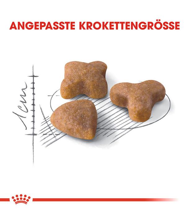 ROYAL CANIN® Trockenfutter für Katzen