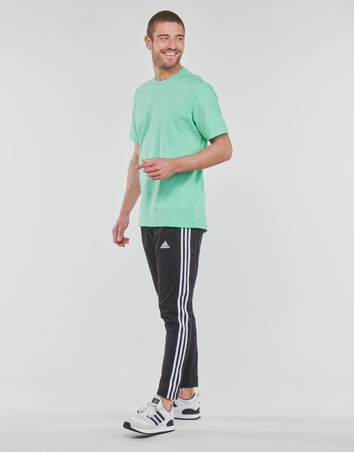 Adidas Sportswear - ALL SZN T - Vert