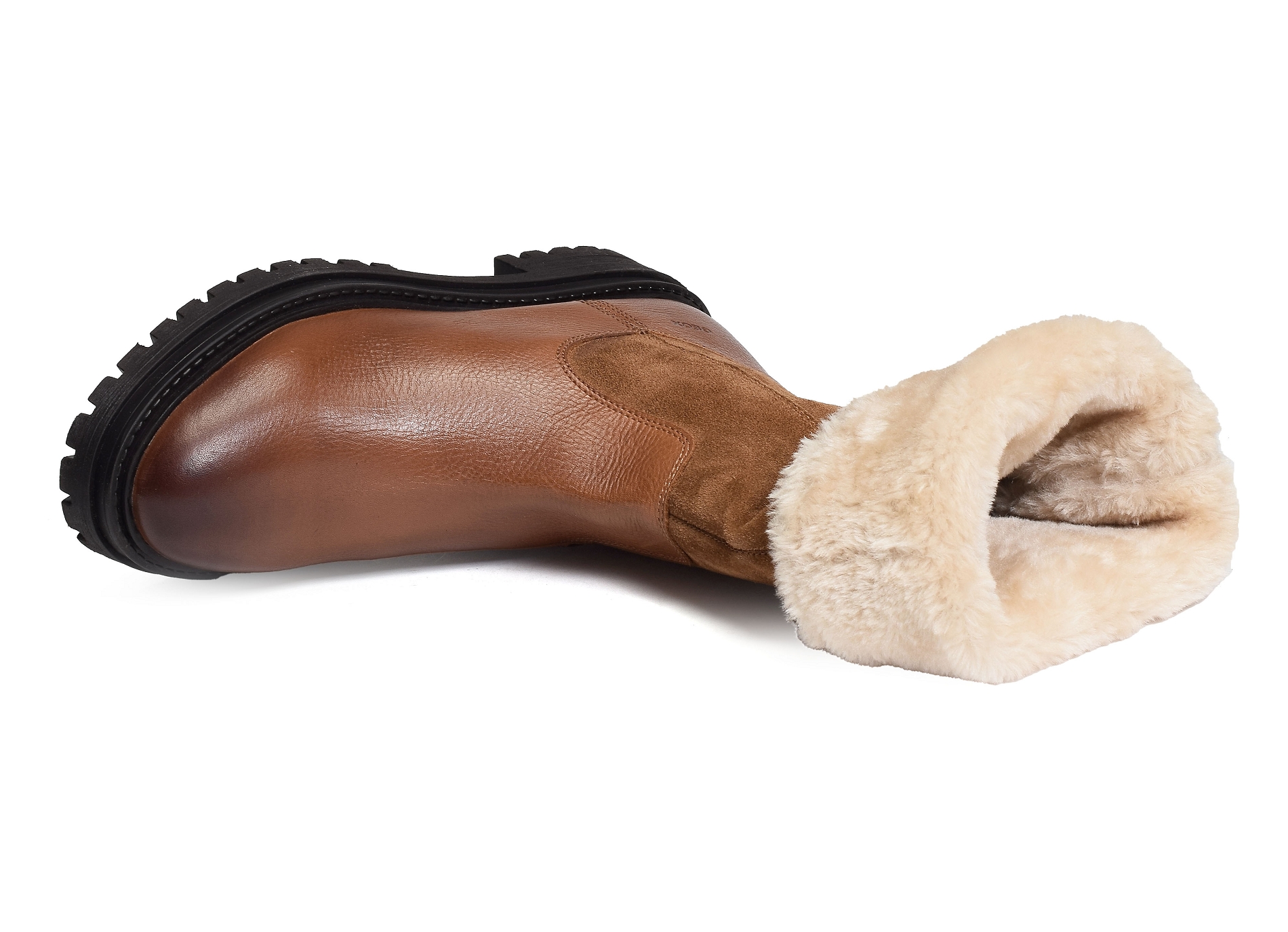 D iridea camel