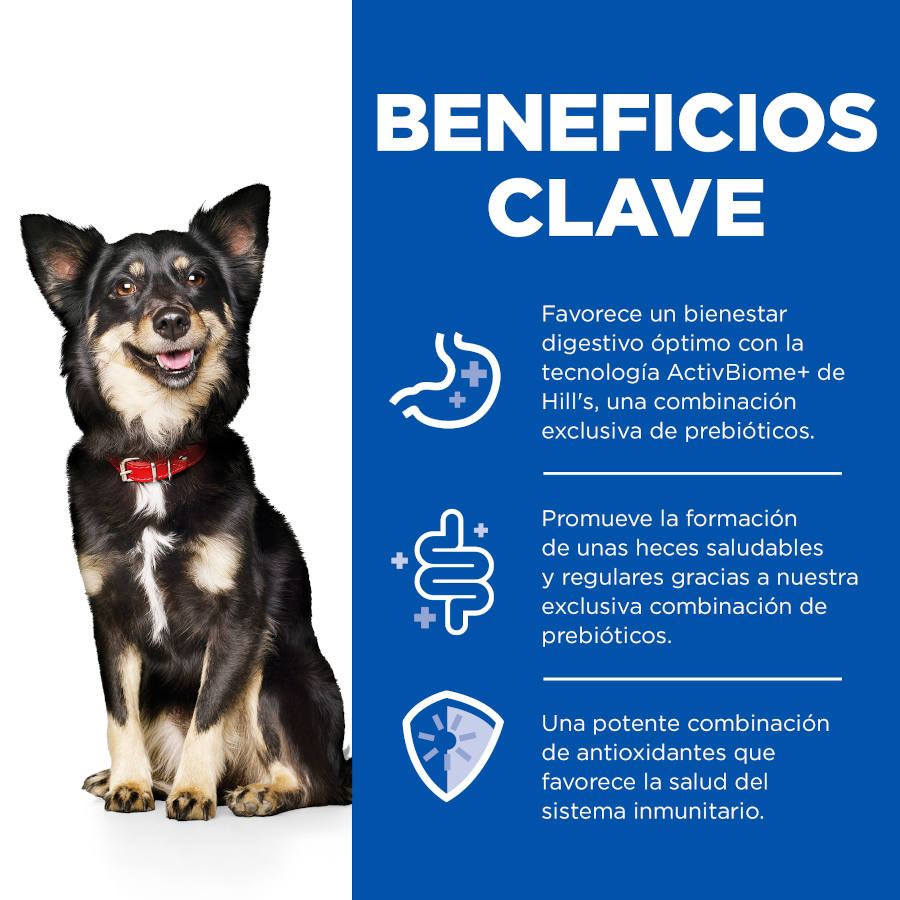 Hill's Science Plan Adult Small & Mini Perfect Digestion Mousse de Pavão lata para cães