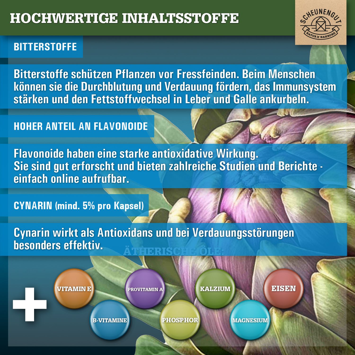Scheunengut® Artischocken Extrakt 30:1 | Hochdosiert mit mindestens 30mg Bitterstoffen | 100% rein