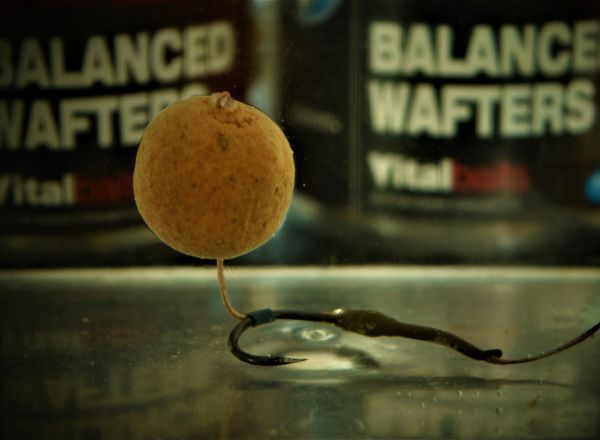 Vital Baits Nutty Crunch Wafters