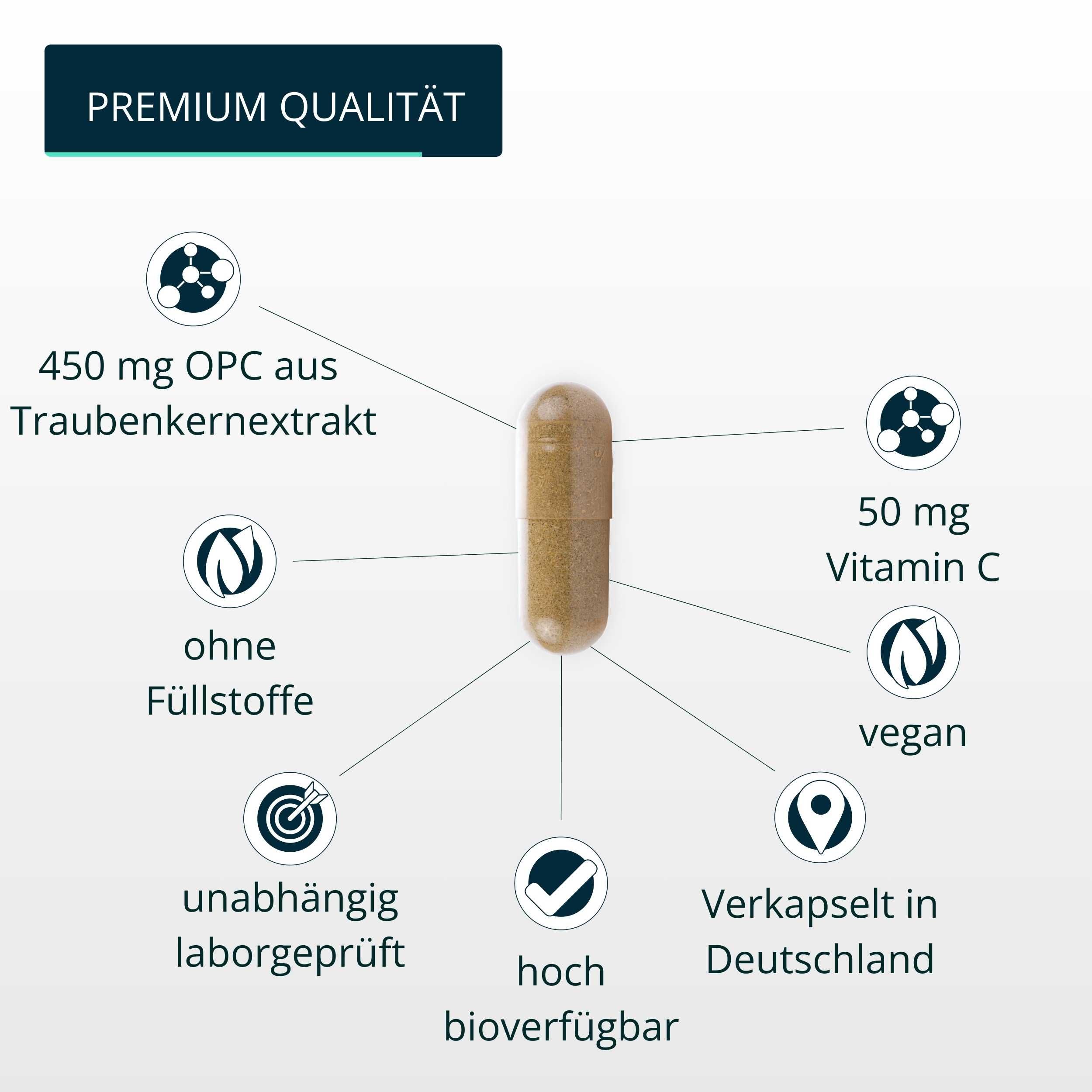 brandl® OPC Traubenkernextrakt mit Vitamin C aus Acerola