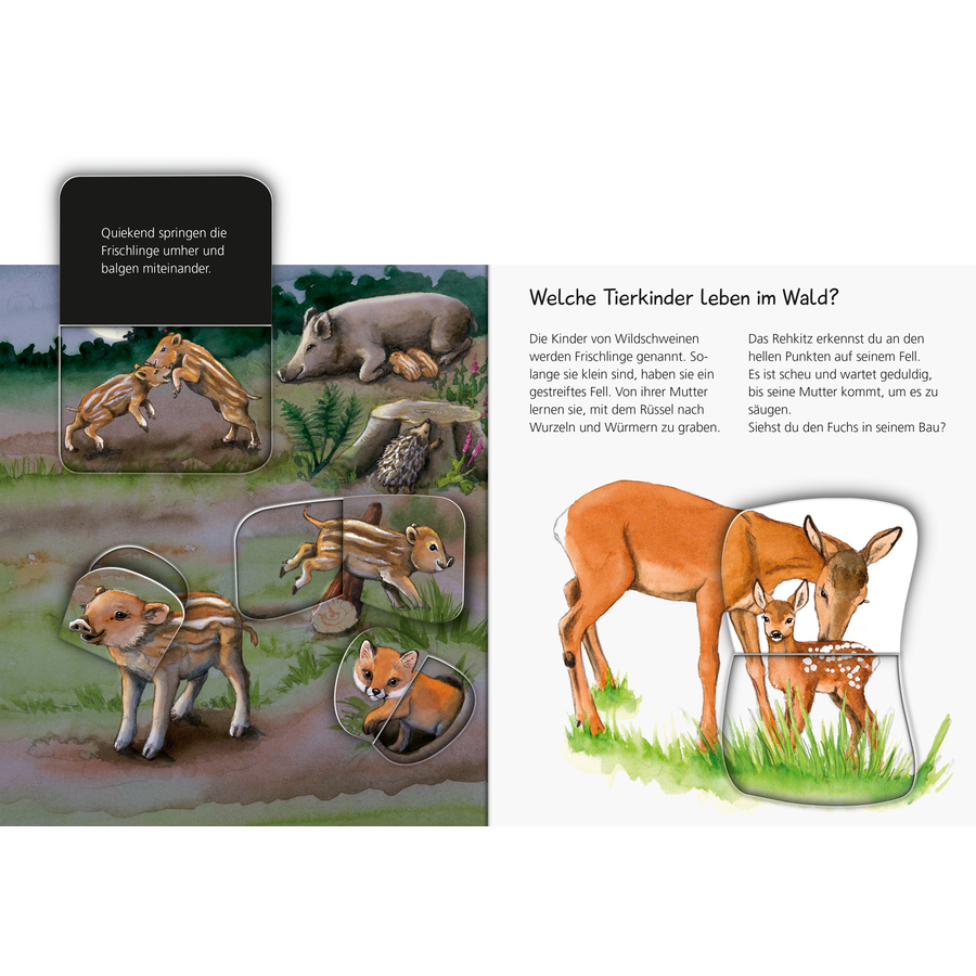 Ravensburger Wieso? Weshalb? Warum? Mein junior zum Hören: Tierkinder - Band 6
